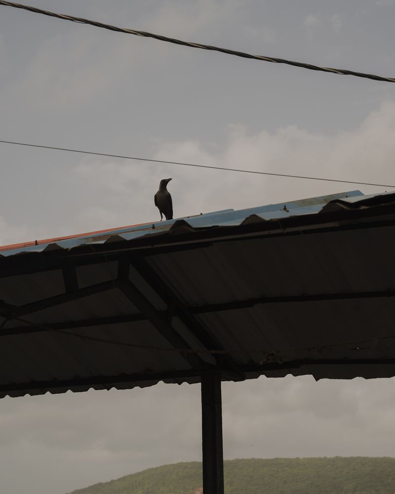 © Pratik Khatri - Image from the Waiting and Waltzing photography project