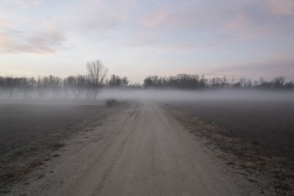 © dimitris rapakousis - The fog in Evros penetrates the borders separating Greece from Turkey.