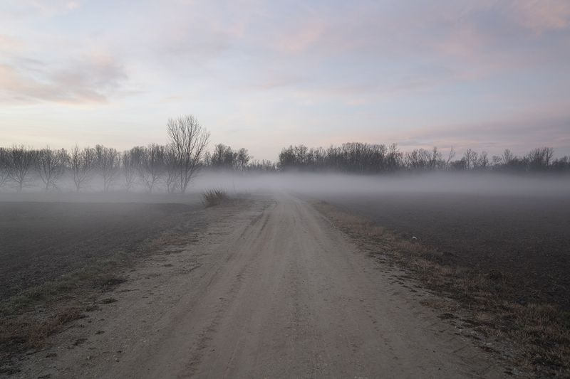© dimitris rapakousis - The fog in Evros penetrates the borders separating Greece from Turkey.