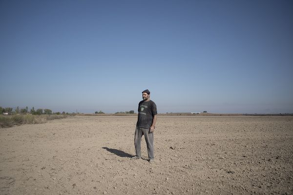 © dimitris rapakousis - His plot of land helps this man to sustain his family. Greek-Albanian border.