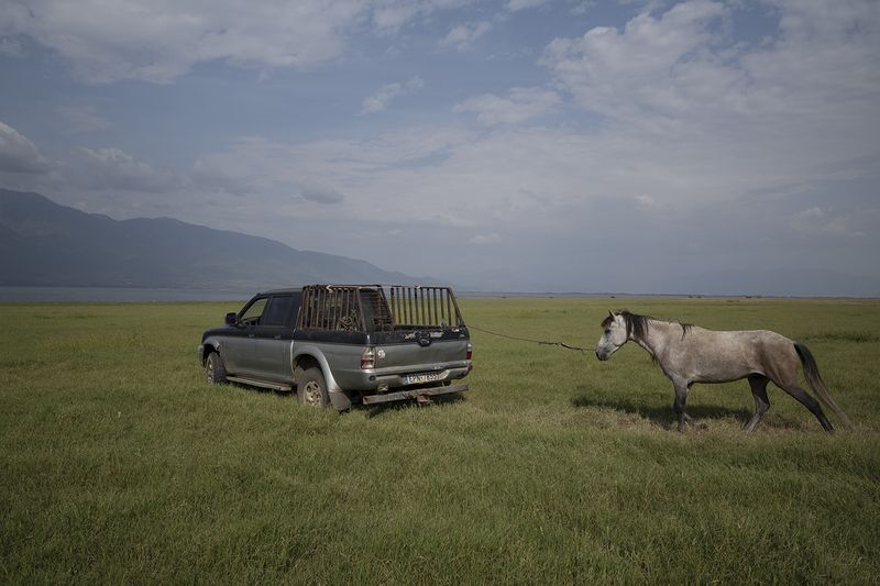 © dimitris rapakousis - A farmer leading his horse near the water, where it can take a rest and get hydrated. Greek-Bulgarian border.