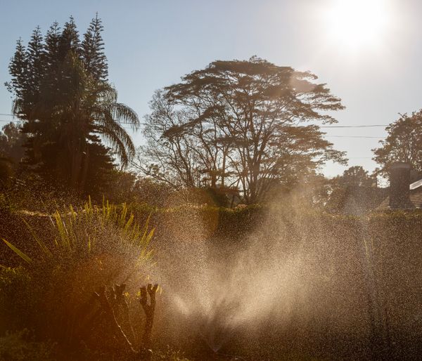 © Jono Terry - Image from the Born in Africa. Death Unknown photography project