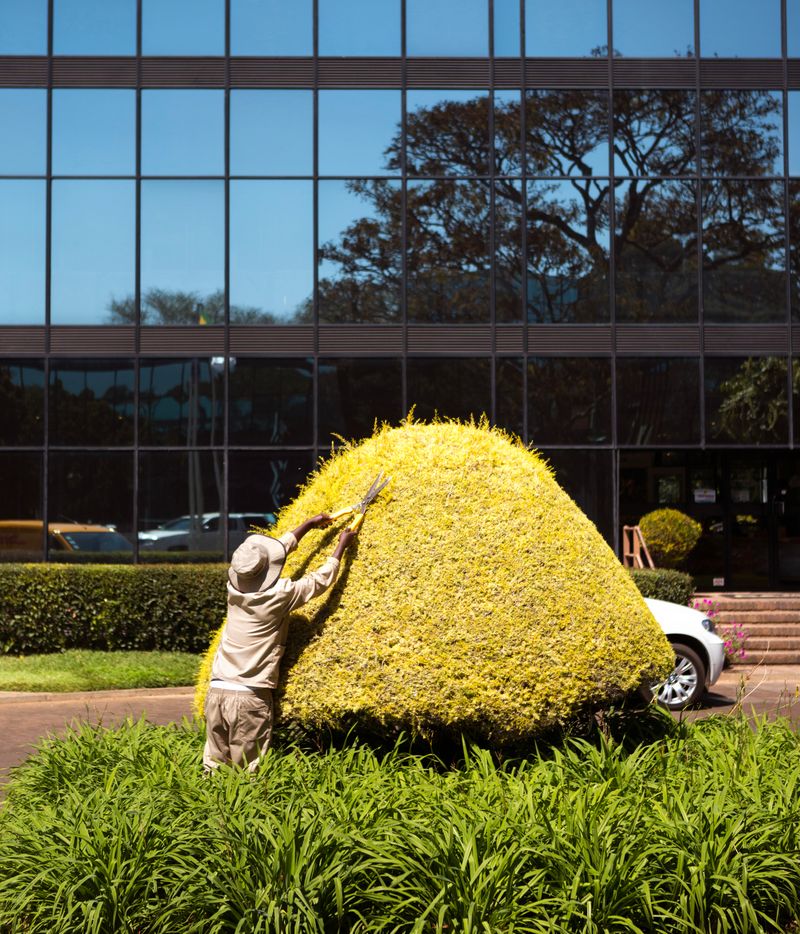 © Jono Terry - Image from the Born in Africa. Death Unknown photography project