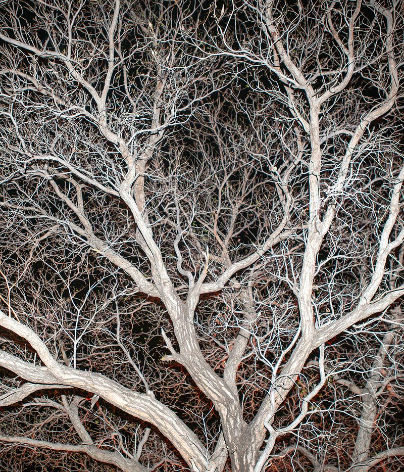 © Jono Terry - Image from the They Still Owe Him A Boat photography project