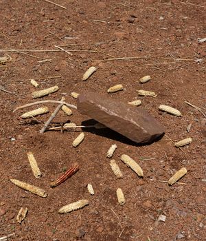 They Still Owe Him A Boat