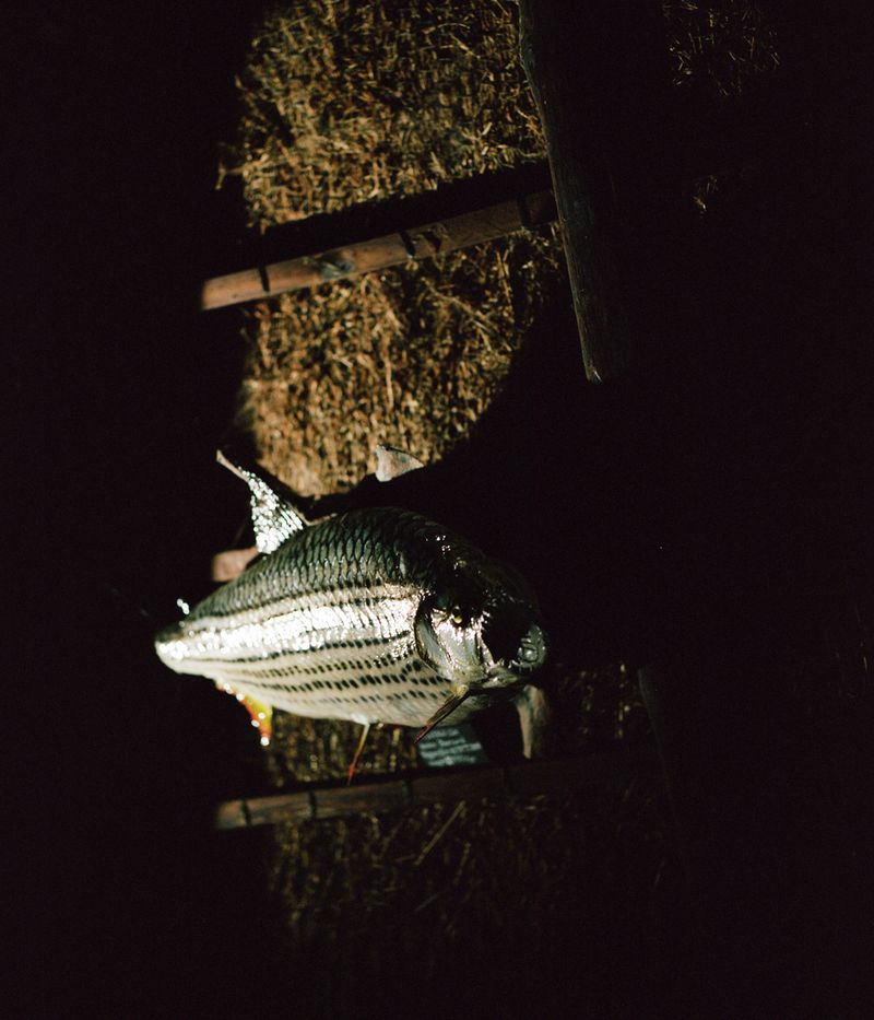 © Jono Terry - Image from the They Still Owe Him a Boat photography project