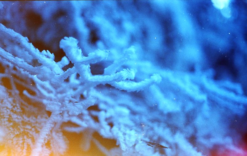 © Emma Parla-Aziz - Image from the Tiny Universes photography project