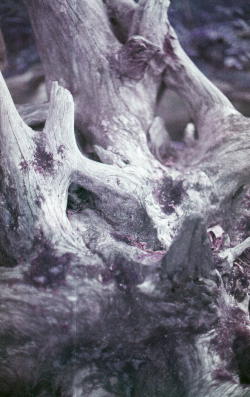 © Emma Parla-Aziz - Image from the Tiny Universes photography project