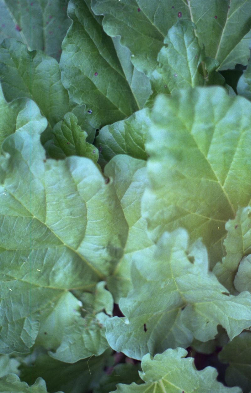 © Emma Parla-Aziz - Image from the Tiny Universes photography project