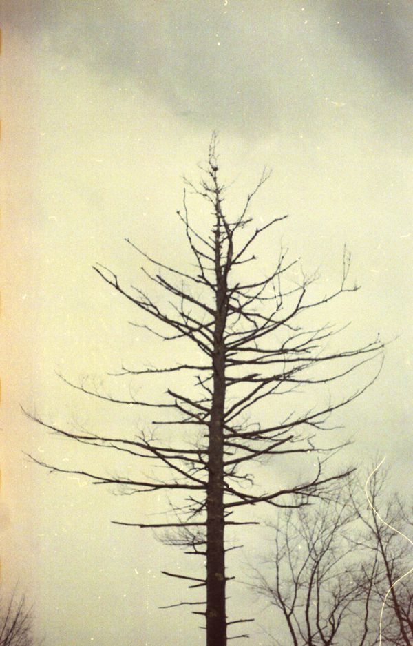 © Emma Parla-Aziz - Image from the Tiny Universes photography project