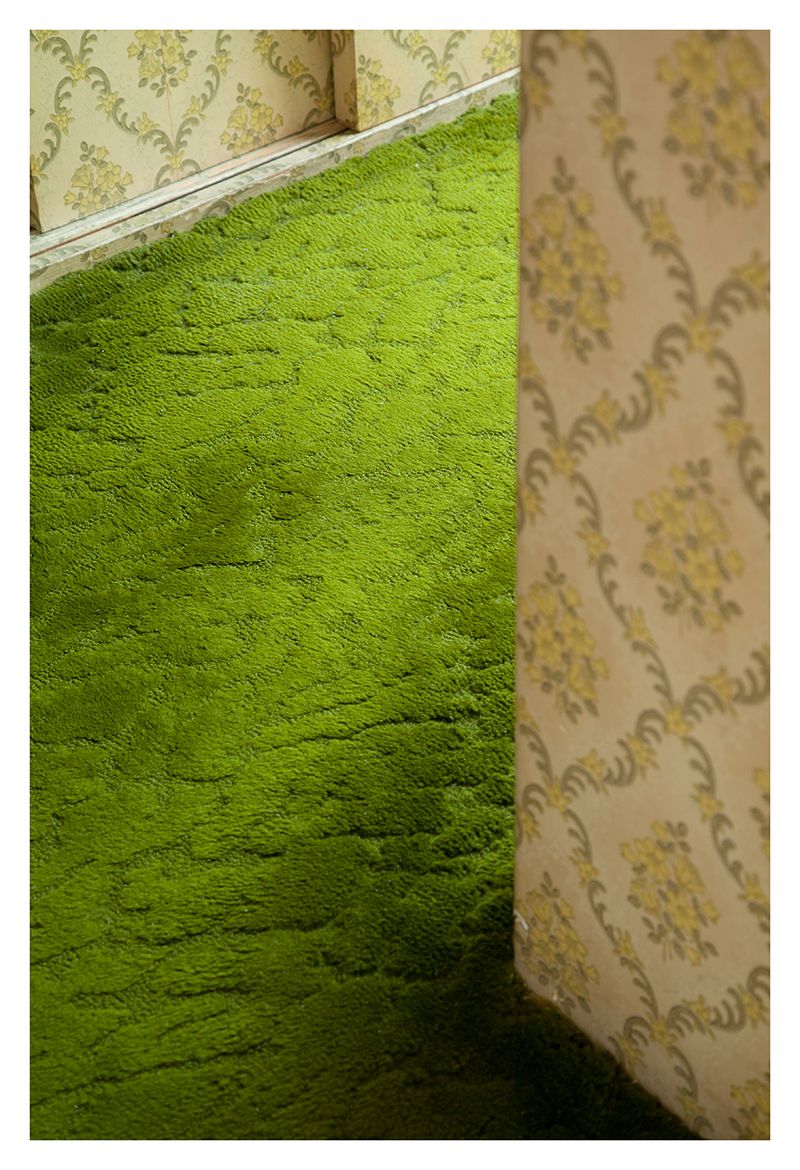 © Mariela Sancari - Image from the The two headed horse photography project