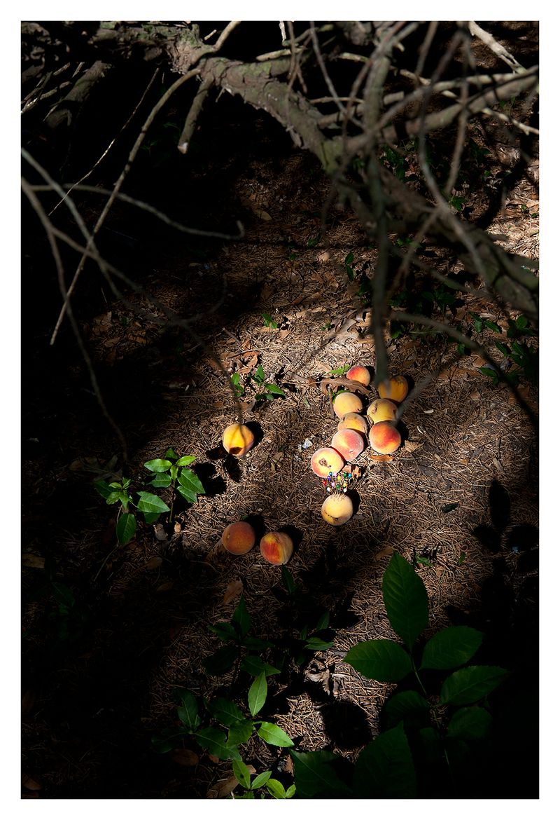 © Mariela Sancari - Image from the The two headed horse photography project