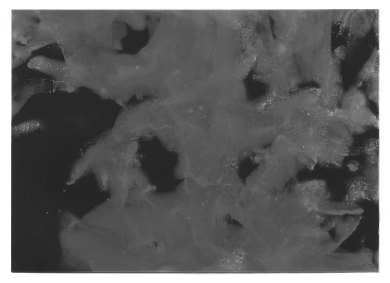 © Mariela Sancari - Image from the Sweat photography project