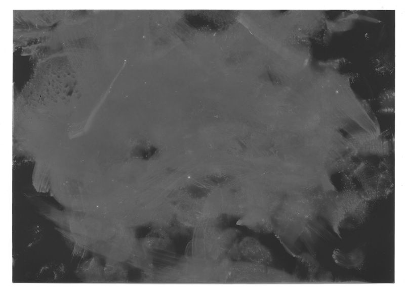 © Mariela Sancari - Image from the Sweat photography project