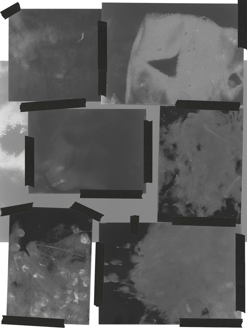 © Mariela Sancari - Image from the Sweat photography project