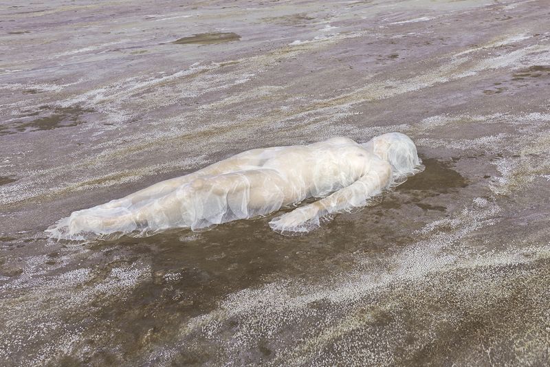 © Honey Long Prue Stent - Film Slip
