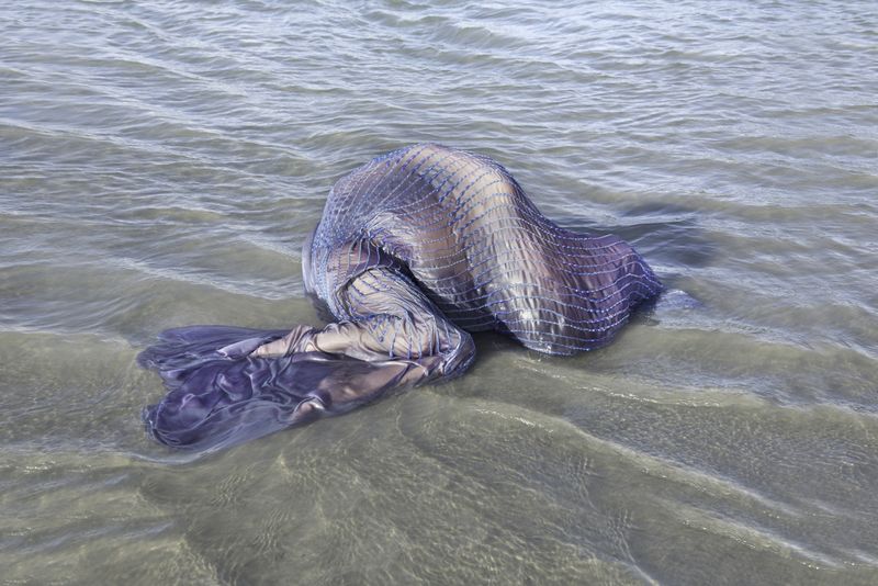 © Honey Long Prue Stent - Beaded Mollusk