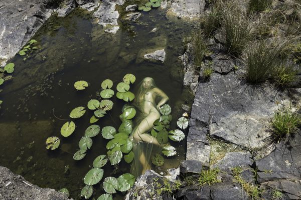 © Honey Long Prue Stent - Nepidea