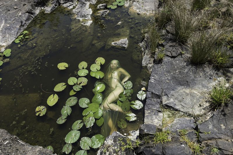 © Honey Long Prue Stent - Nepidea