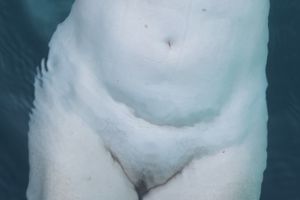 Touching Pool