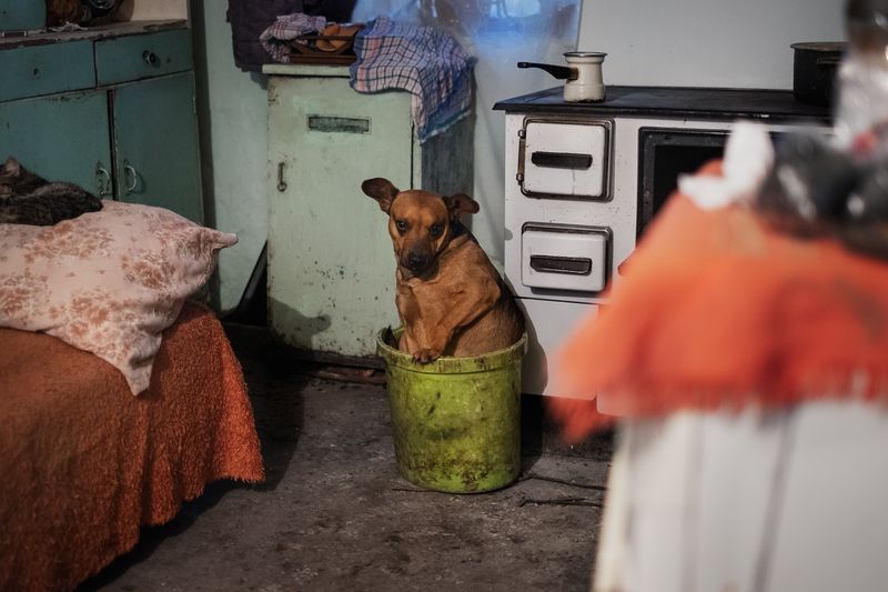 © Adrijana Urschall - Image from the Irene in the fields photography project