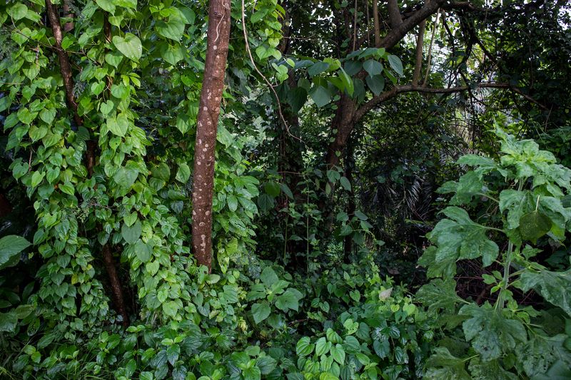 © Rahima Gambo - Image from the A Walk  photography project