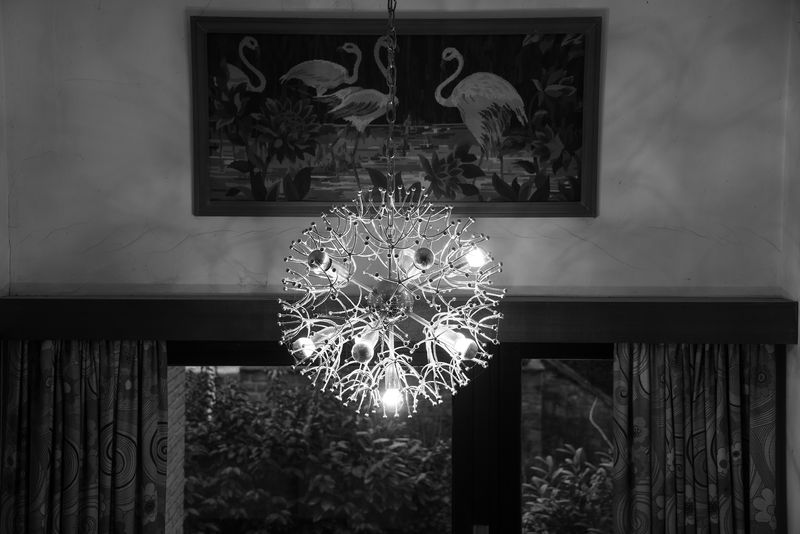© Caroline Sohie - Silver Stars