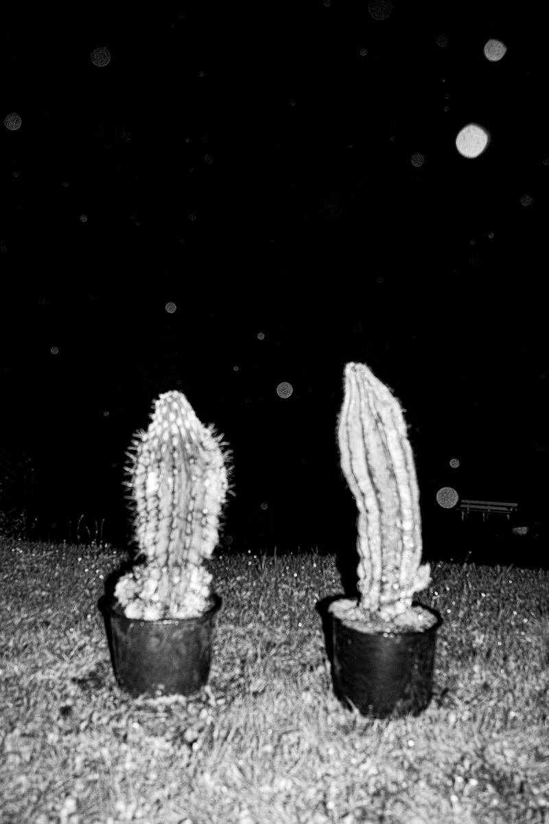 © Caroline Sohie - Touching Light