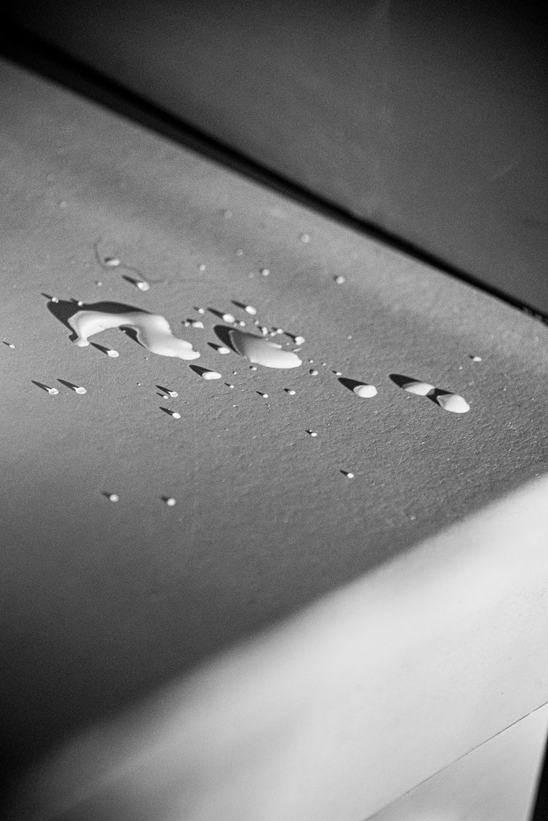 © Caroline Sohie - Drawing Circles