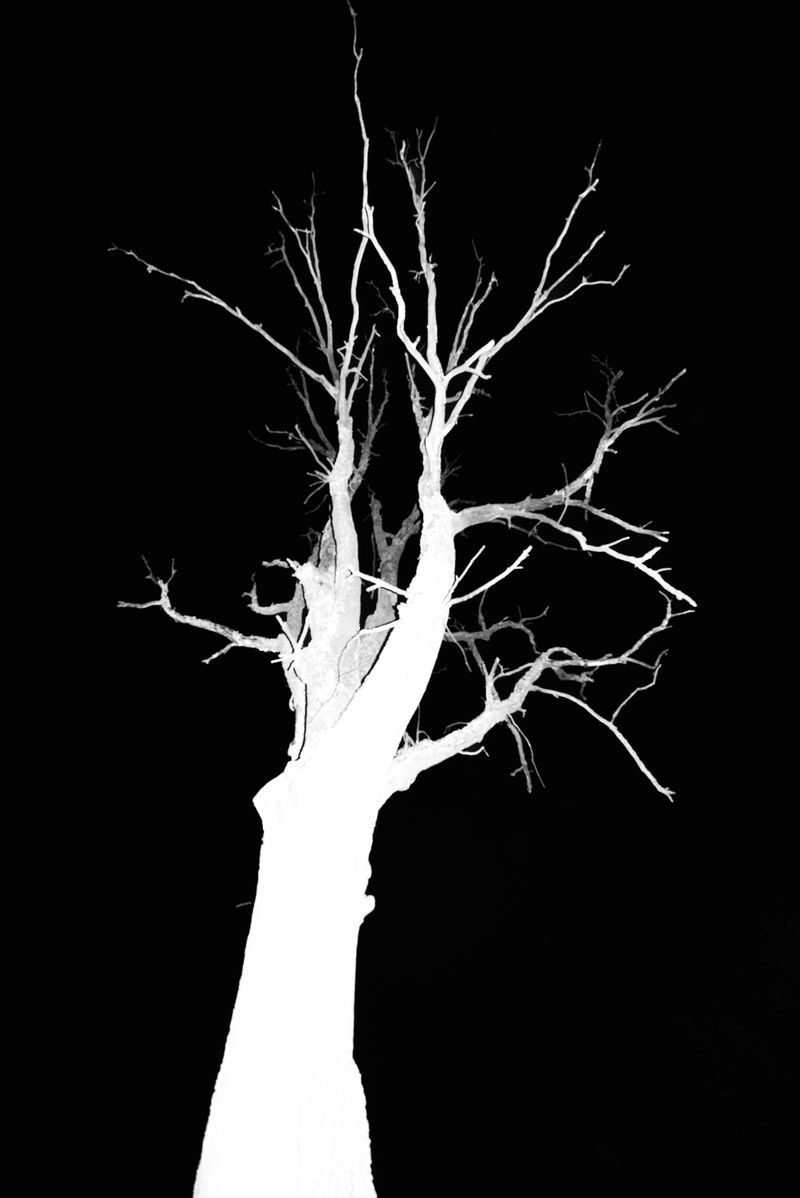 © Caroline Sohie - A Higher Place