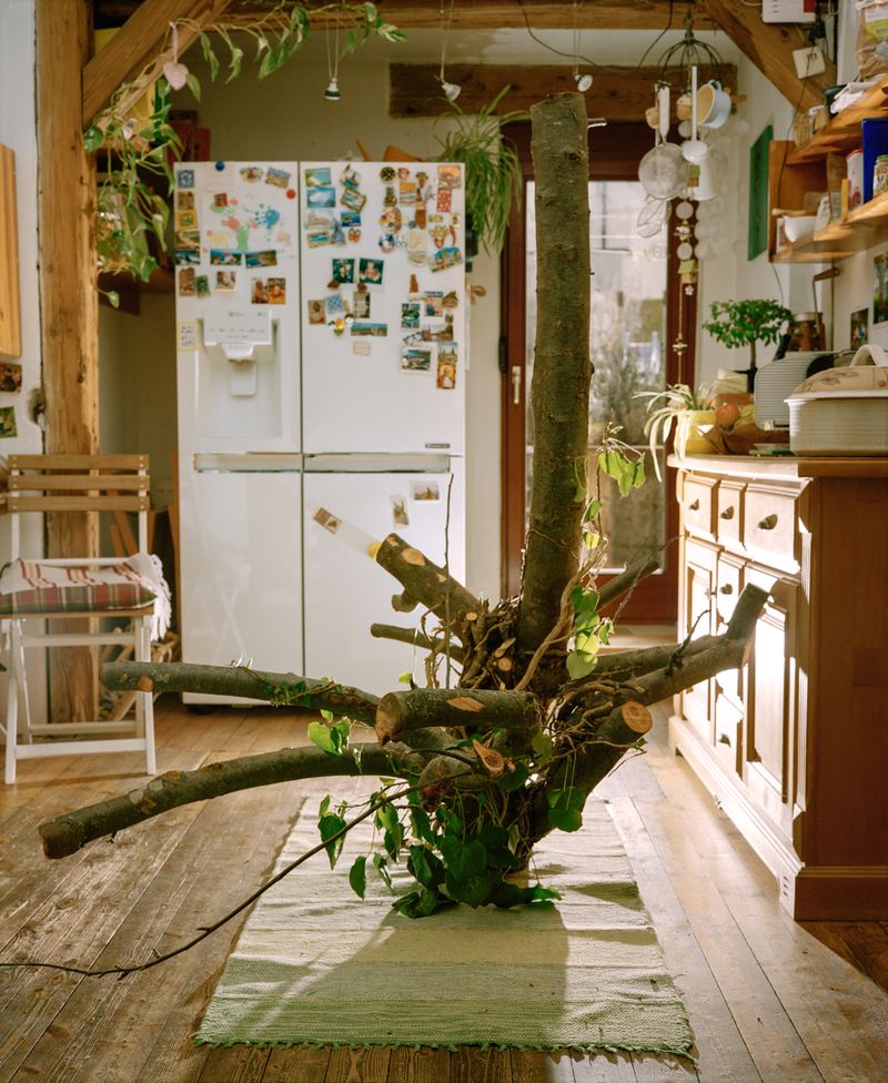 © Peter Pflügler - Image from the Now is not the right time photography project