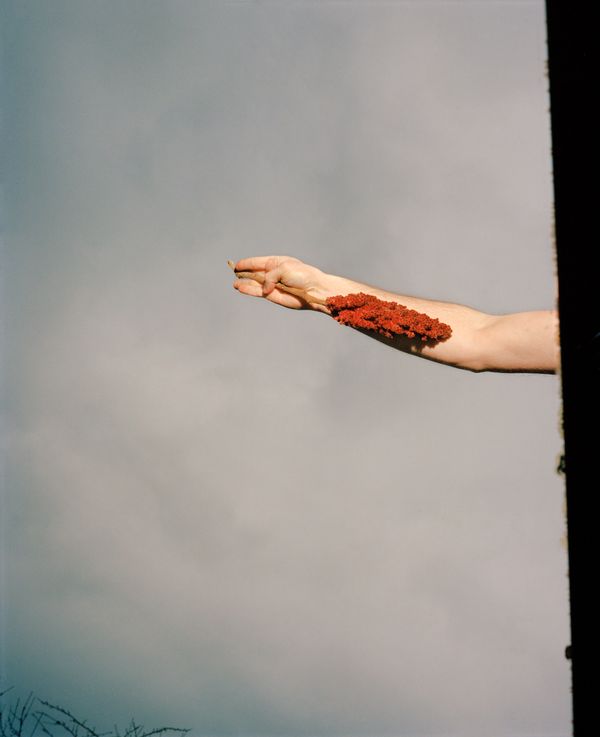 © Peter Pflügler - Image from the Now is not the right time photography project