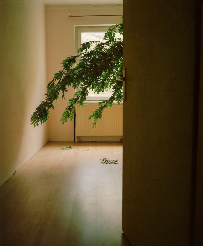 © Peter Pflügler - Image from the Now is not the right time photography project