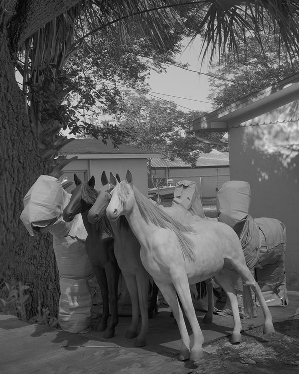 © Joshua Lutz, from the book Mind the Gap