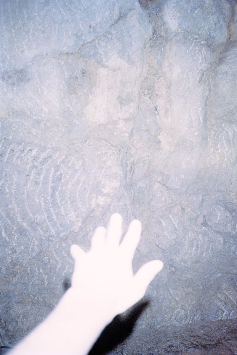 Image from the series Nekyia by Rocco Venezia