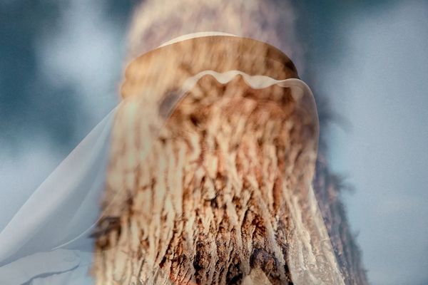 © Laura El-Tantawy, from the series I'll Die for You