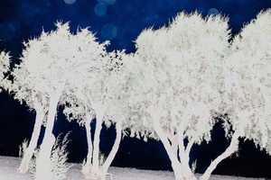 A Diary of Life and Death