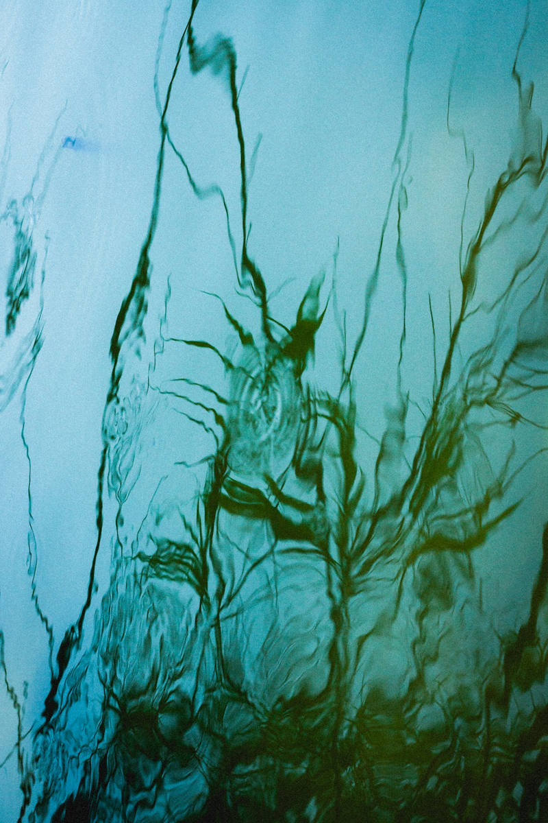 © Elizabeth Rovit, from the series, Multiverse