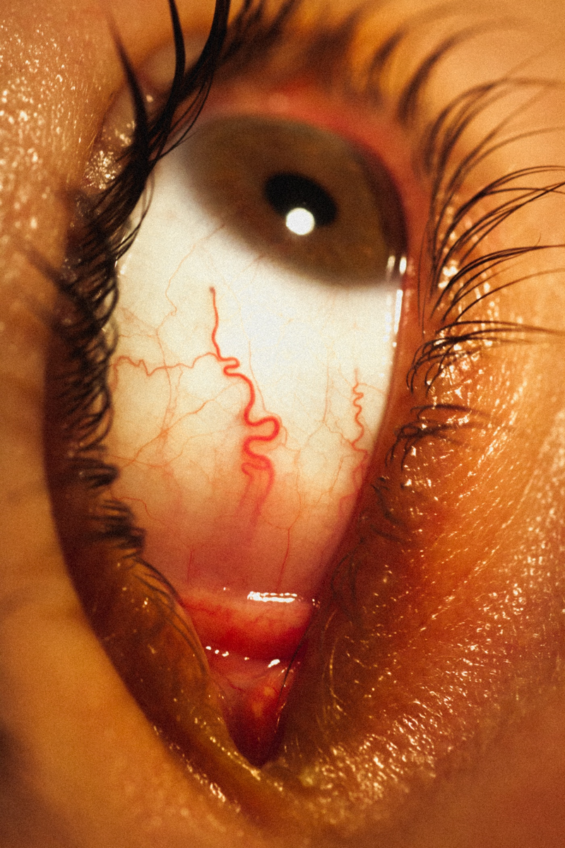 © Elizabeth Rovit, from the series, Multiverse