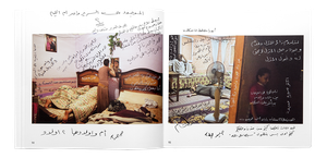 A Portrait of Post-2011 Egypt