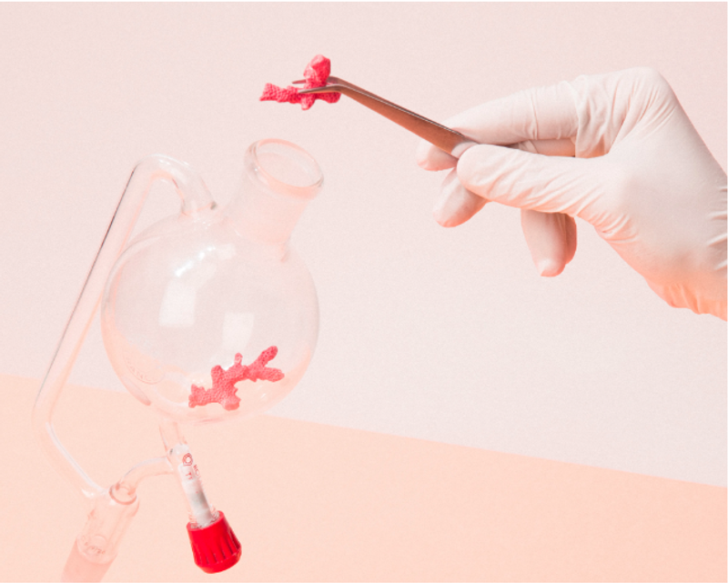 © Marie Lukasiewicz, from the series "Beyond Coral White"