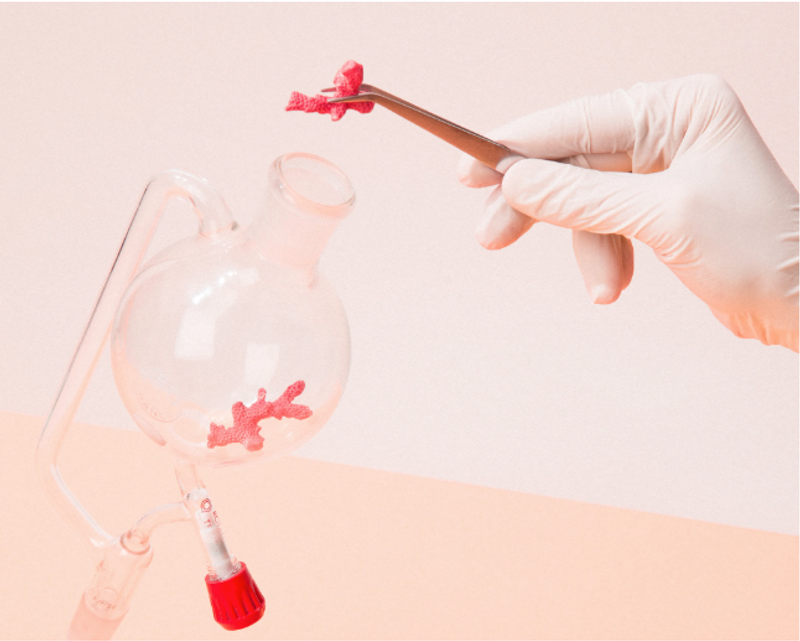 © Marie Lukasiewicz, from the series "Beyond Coral White"