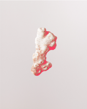 Coral and the Para-Pharmaceutical Industry