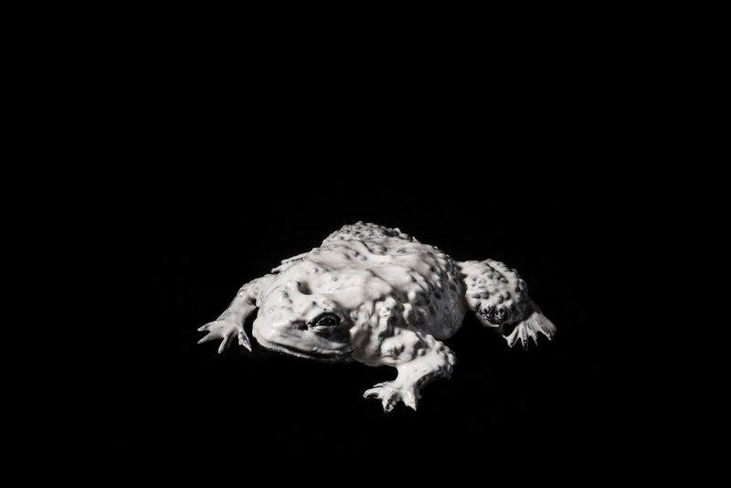 © Andrea Foligni, from the series Whiter (White Water)