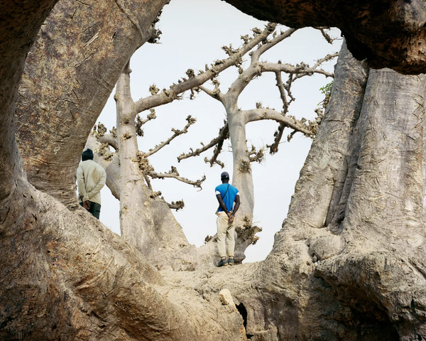 Earthly Things That Take on Higher Meaning