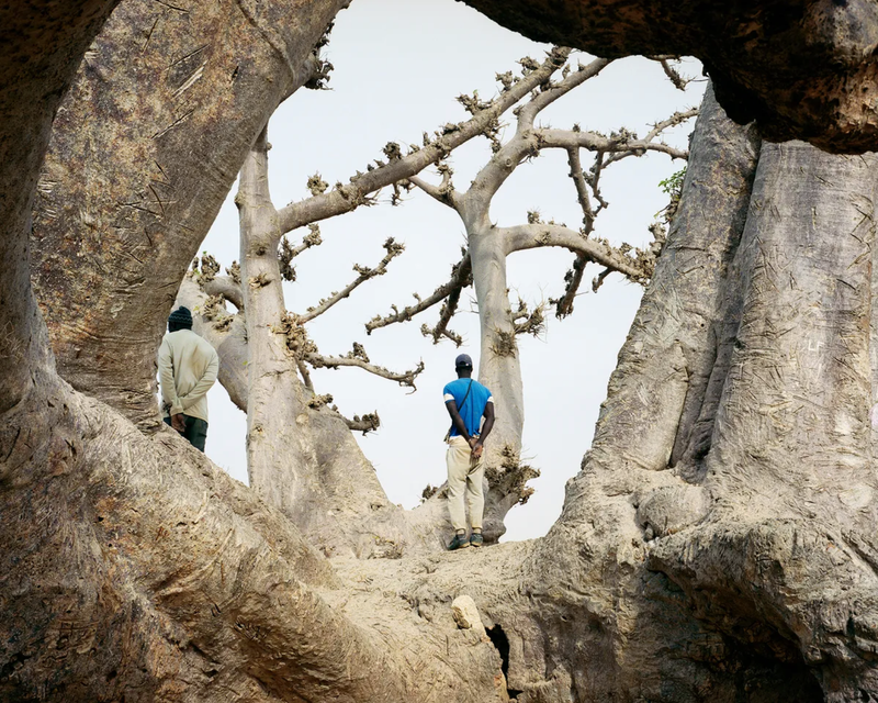 Earthly Things That Take on Higher Meaning