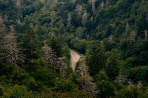 A Rural, Working-class Rebellion in Appalachia