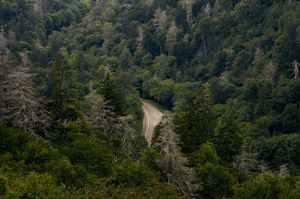 A Rural, Working-class Rebellion in Appalachia