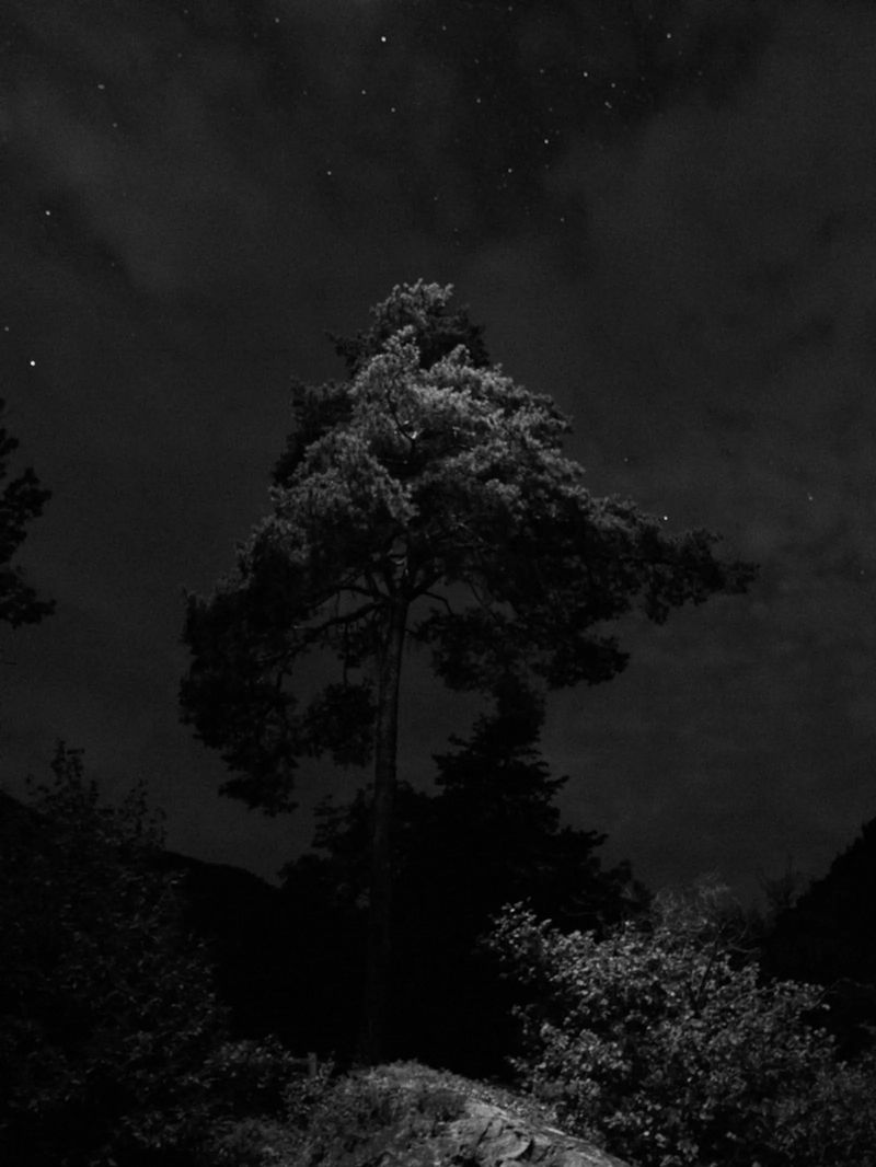 © Eleonora Strano, from the series Ex Materia