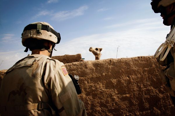 Overlooking the Realities of Conflict
